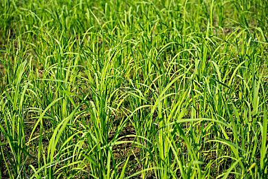 腾讯天美工作室群重组 整合为四大研发子工作室