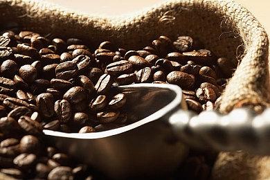 沙雕游戏名作《非常普通的鹿》登陆Epic游戏商城